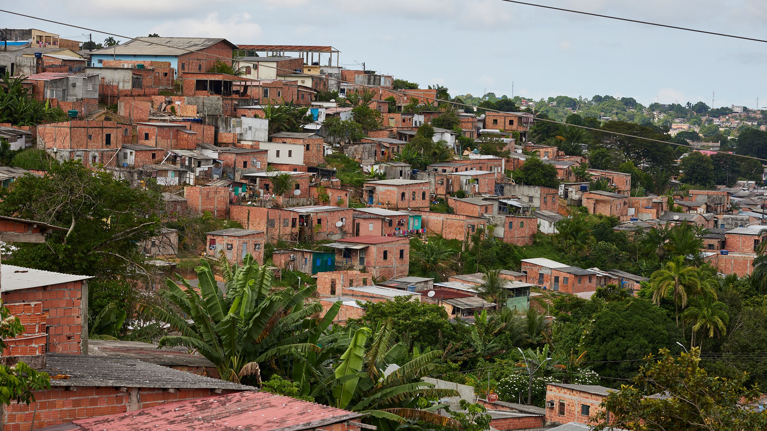 A steep hillside covered fully with red brick homes.