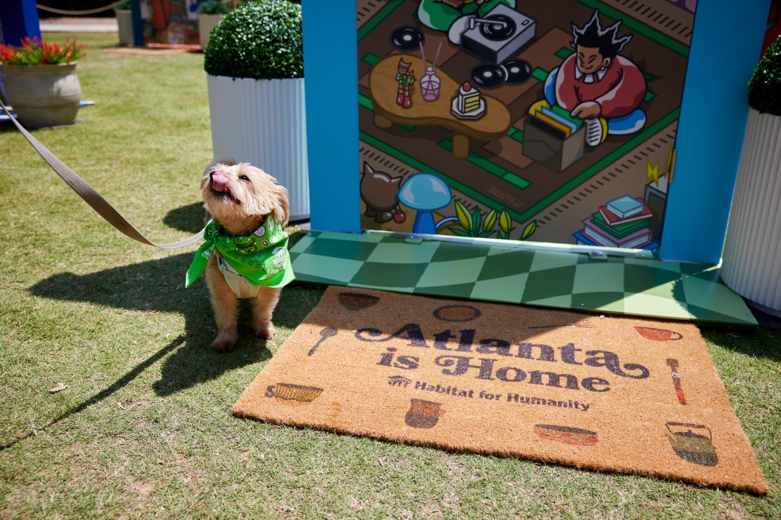 Small tan dog in a green bandana posing in front of a door mat and illustrated door.