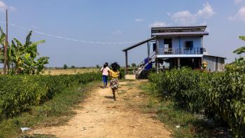 Two children run toward their blue house on a dirt path surrounded by green grass.