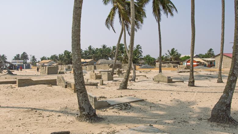 image of a coastal beach sparsely populated with palm trees